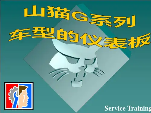 G系列山猫滑移仪表板说明(标准型)