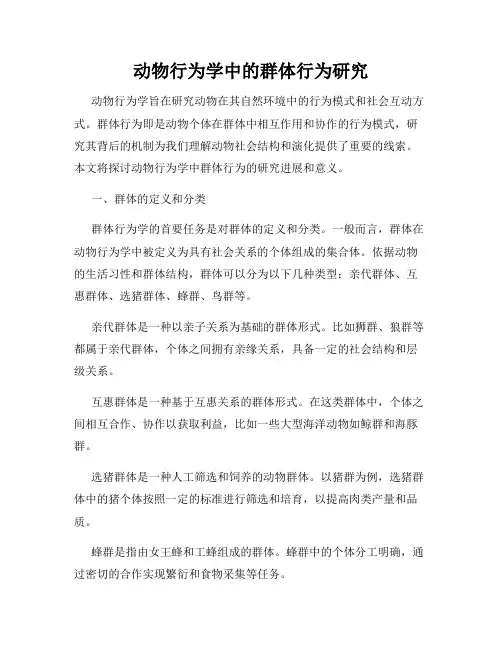 动物行为学中的群体行为研究