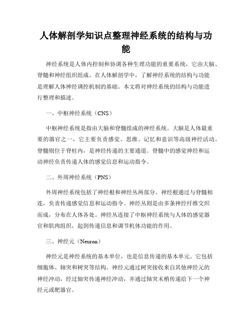 人体解剖学知识点整理神经系统的结构与功能