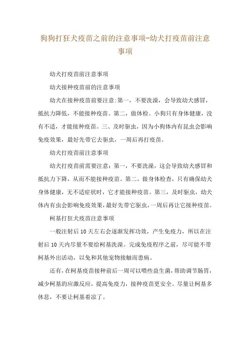 狗狗打狂犬疫苗之前的注意事项-幼犬打疫苗前注意事项