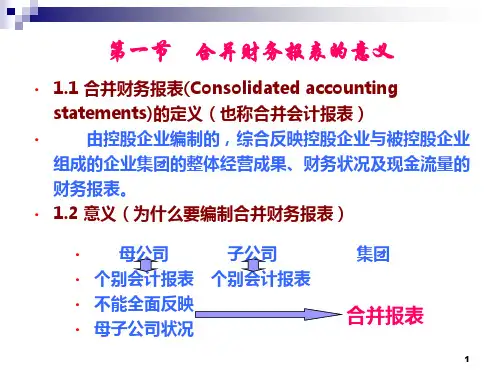 第九章合并财务报表编制原理