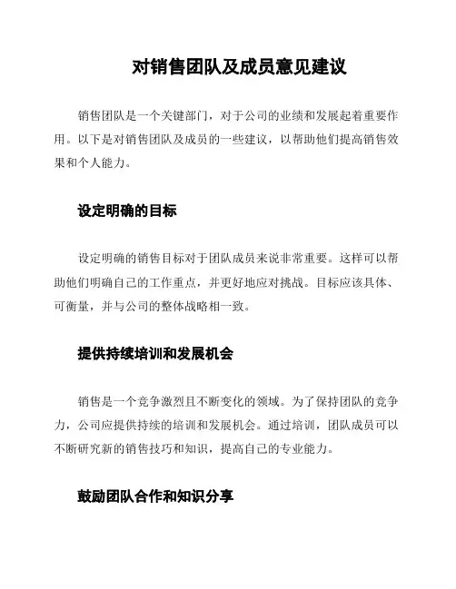 对销售团队及成员意见建议