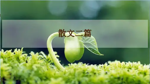 部编人教版八年级上册语文第四单元《 16 散文二篇》教学课件