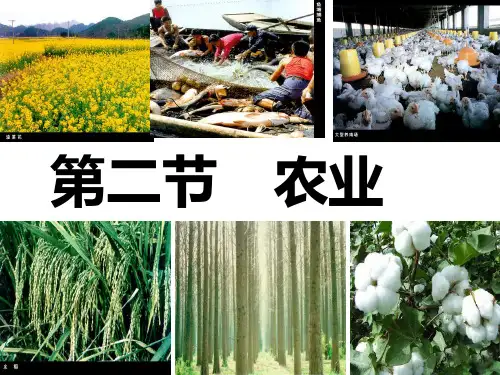 新人教版八年级上册地理 农业 课件
