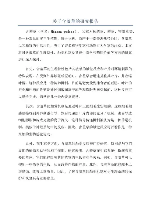 关于含羞草的研究报告