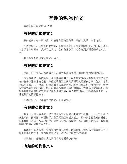 有趣的动物作文