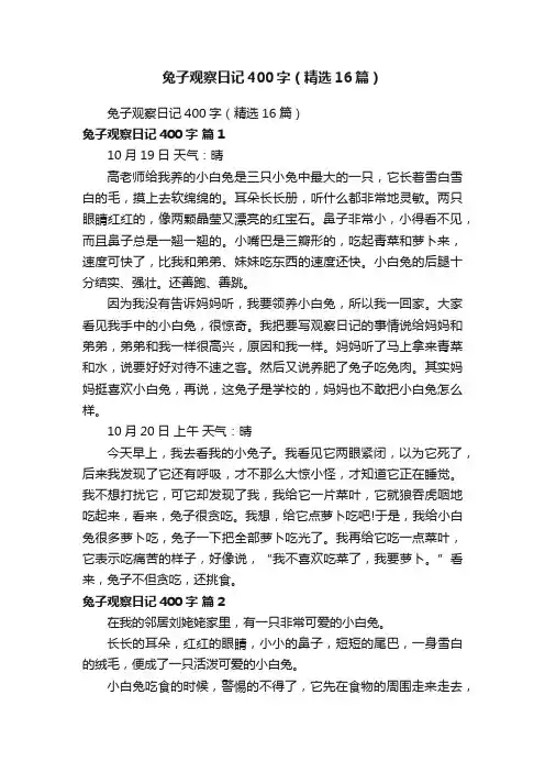 兔子观察日记400字（精选16篇）