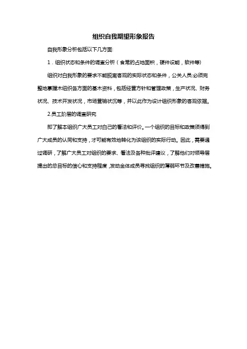 组织自我期望形象报告