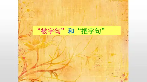 语法复习：“被字句”和“把字句”语文六年级下册优秀ppt课件