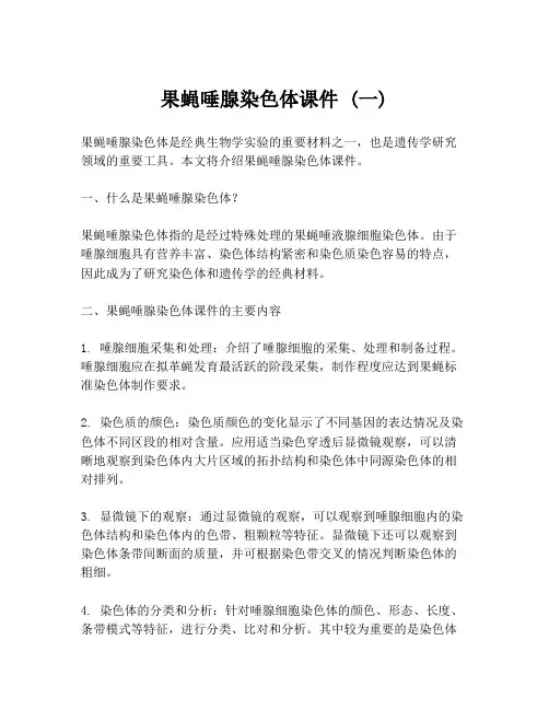 果蝇唾腺染色体课件 (一)