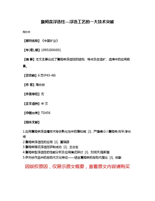 詹姆森浮选柱—浮选工艺的一大技术突破