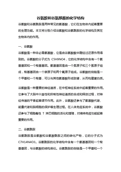 谷氨酸和谷氨酰胺的化学结构