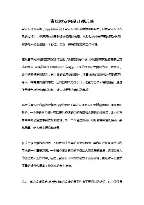 青年说室内设计观后感
