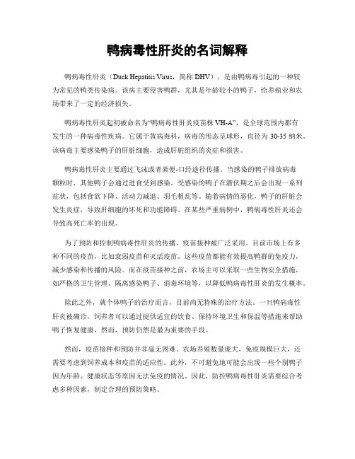 鸭病毒性肝炎的名词解释