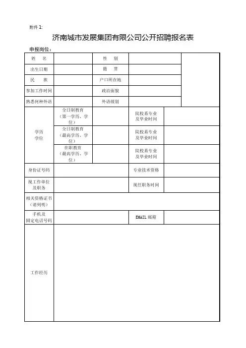 济南城市发展集团有限公司公开招聘报名表【模板】