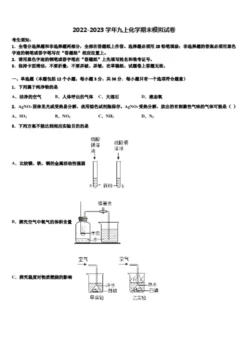 山东省济宁市2022-2023学年化学九上期末监测模拟试题含解析