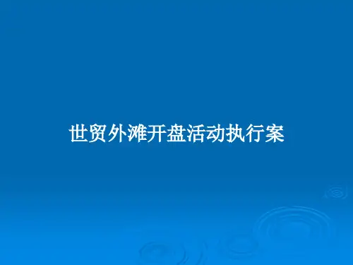 世贸外滩开盘活动执行案PPT学习教案