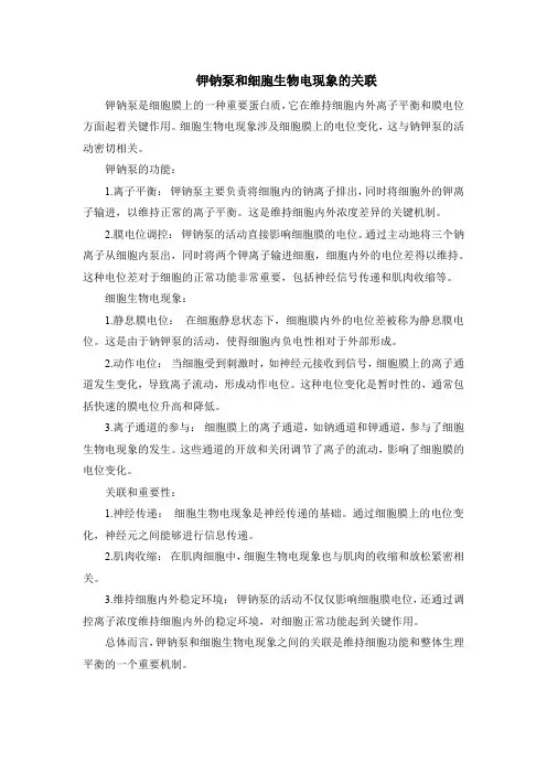 钾钠泵和细胞生物电现象的关联