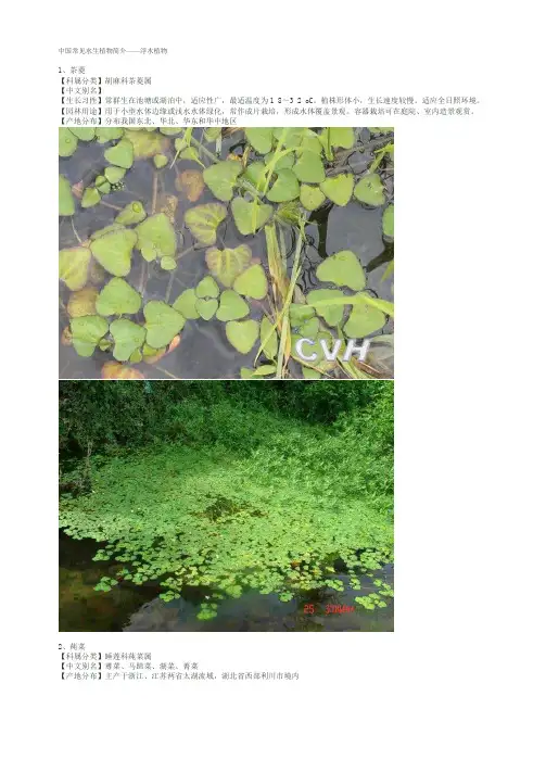 中国常见水生植物简介——浮水植物