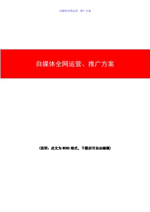 自媒体全网运营推广方案