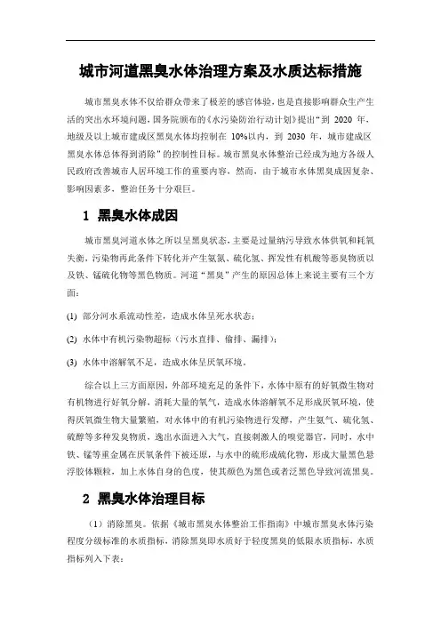 城市河道黑臭水体治理方案及水质达标保障