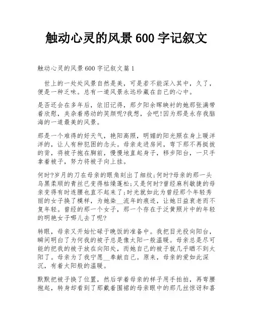 触动心灵的风景600字记叙文