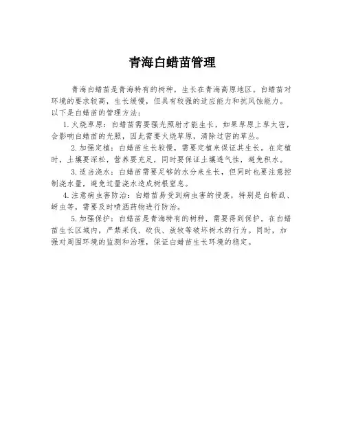 青海白蜡苗管理