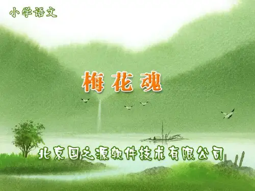 梅花魂  公开课一等奖课件