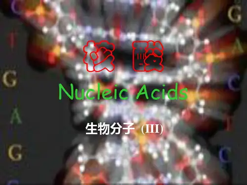 高中化学竞赛【核酸】