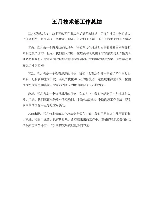 五月技术部工作总结