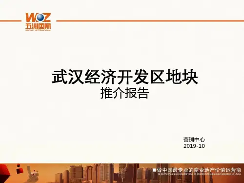 武汉经济开发区地块简评10.7-PPT精品文档