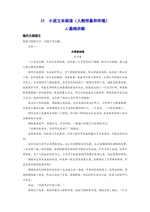 【考点解密】13  小说人物形象和环境(训练) 高考语文二轮复习(新高考)(解析版)
