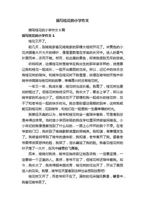 描写桂花的小学作文6篇