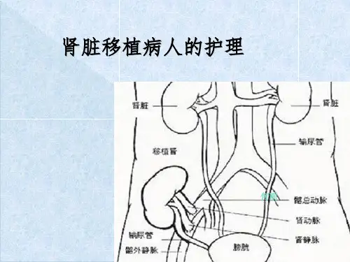 《肾移植的护理》PPT课件