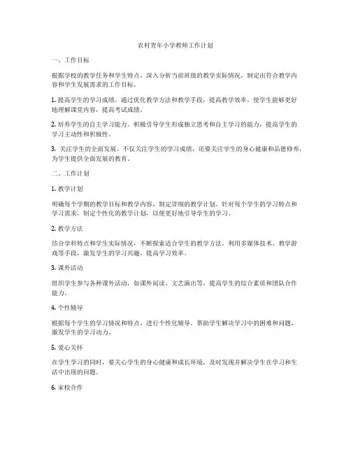 农村青年小学教师工作计划