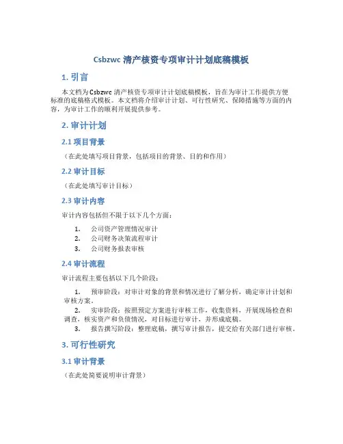 Csbzwc清产核资专项审计计划底稿模板