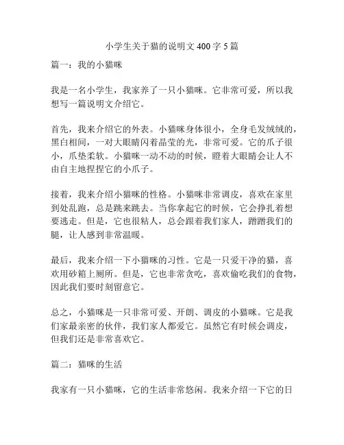 小学生关于猫的说明文400字5篇