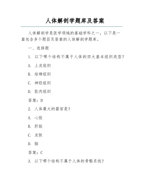 人体解剖学题库及答案  