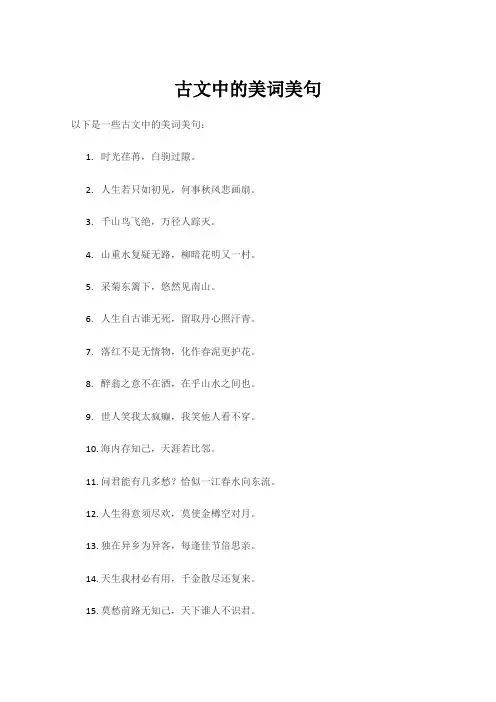 古文中的美词美句