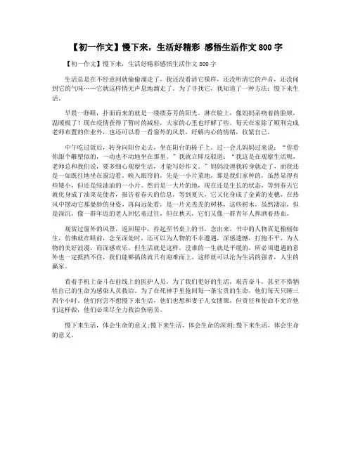【初一作文】慢下来,生活好精彩 感悟生活作文800字
