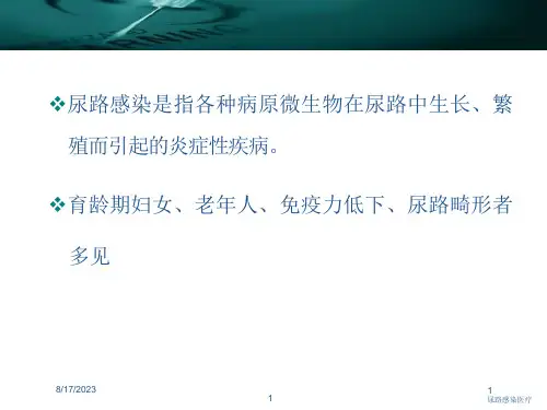 尿路感染医疗ppt课件