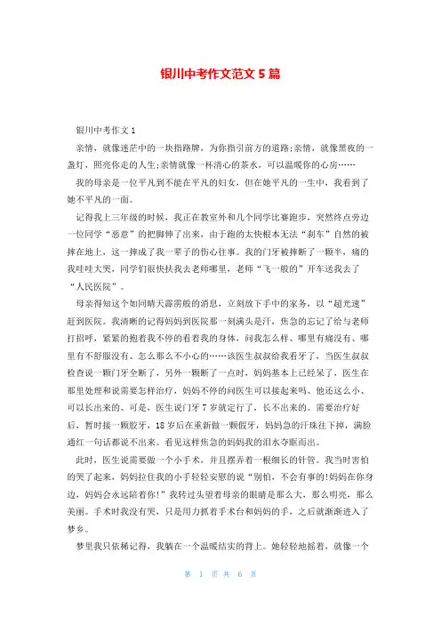 银川中考作文范文5篇