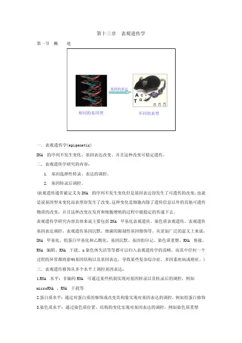 表观遗传学&基因与基因组学