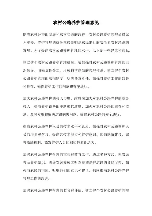 农村公路养护管理意见