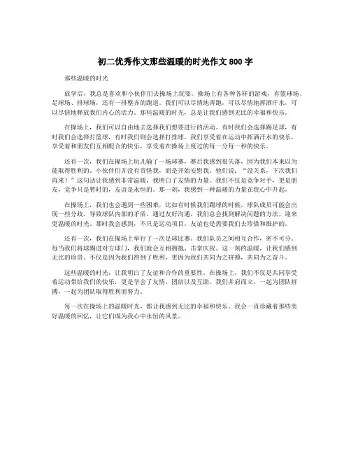 初二优秀作文那些温暖的时光作文800字