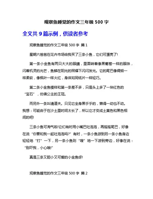 观察鱼睡觉的作文三年级500字