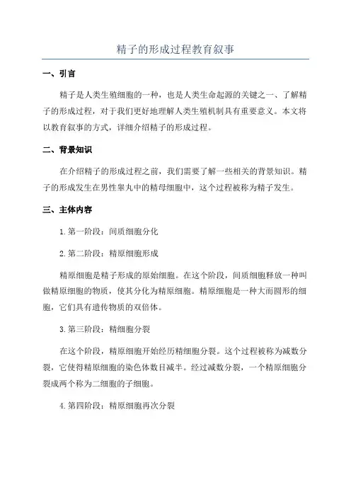 精子的形成过程教育叙事