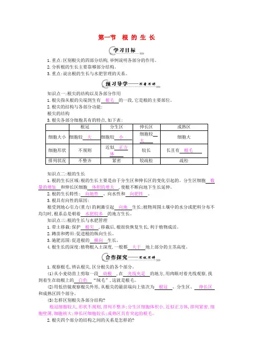 【精品】冀教版八年级生物上册：第3单元 第2章 第1节《根的生长》导学案