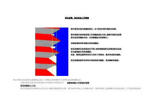 挤压丝锥：挤压攻丝工作原理