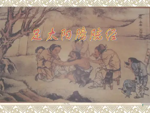 足太阳膀胱经ppt课件